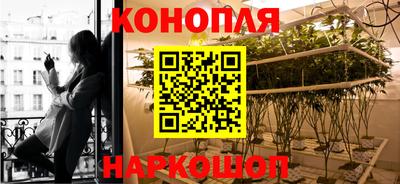 гашик Заводоуковск