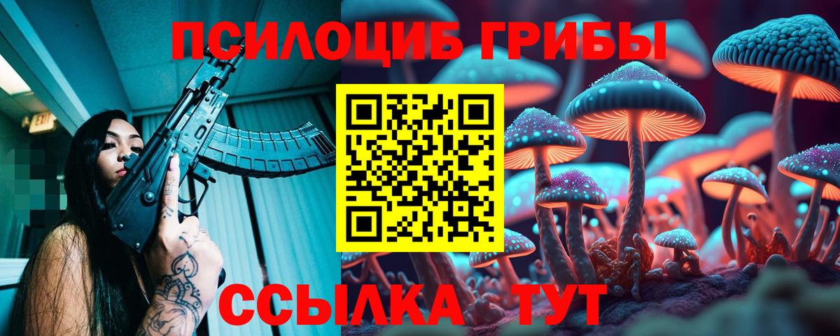 Галлюциногенные грибы Cubensis  Вход с VPN  Луга 